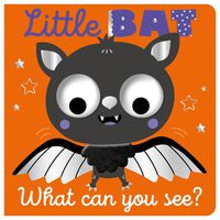 Cover image for Little Bat What Can You See?