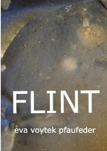 Cover image for Flint