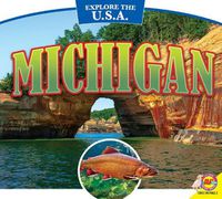 Cover image for Michigan