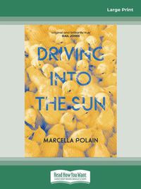 Cover image for Driving into the Sun