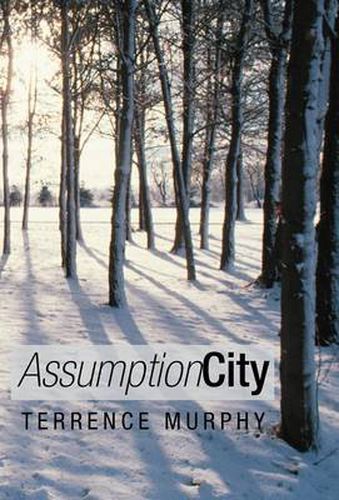 Cover image for Assumption City