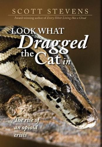 Look What Dragged the Cat In: The rise of an opioid crisis