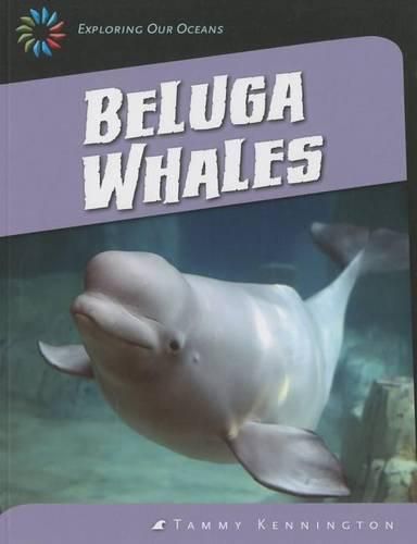 Cover image for Beluga Whales