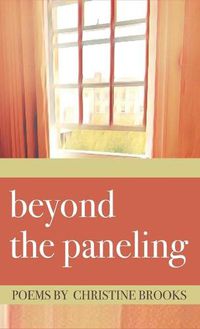Cover image for beyond the paneling