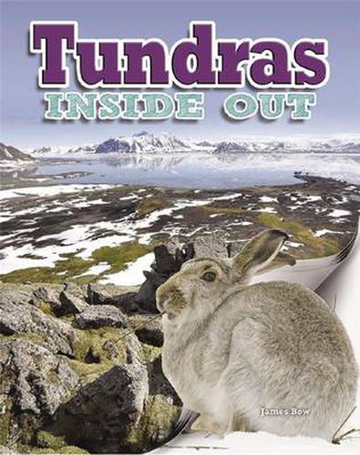 Cover image for Tundras