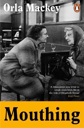 Cover image for Mouthing
