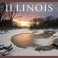 Cover image for Illinois