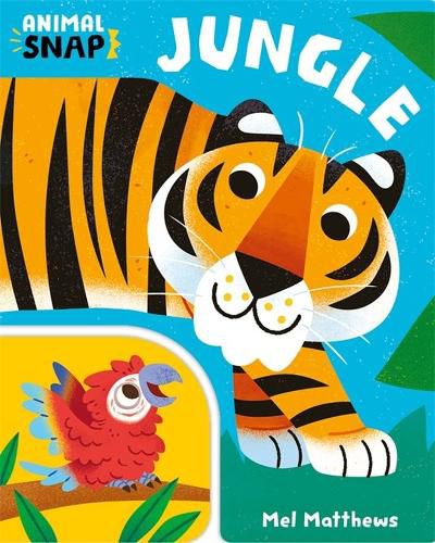 Cover image for Jungle (Animal Snap)