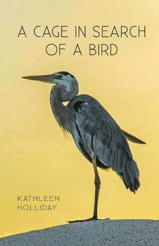 Cover image for A Cage in Search of a Bird