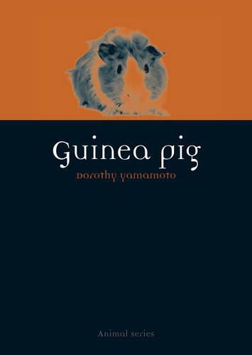 Cover image for Guinea Pig