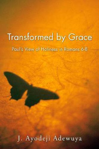 Cover image for Transformed by Grace: Paul's View of Holiness in Romans 6-8