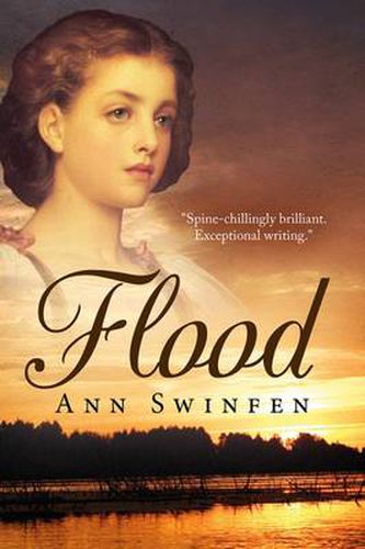 Cover image for Flood