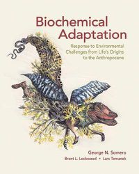 Cover image for Biochemical Adaptation: Response to Environmental Challenges from Life's Origins to the Anthropocene