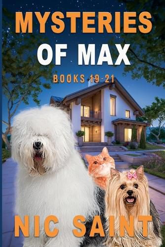 Cover image for Mysteries of Max