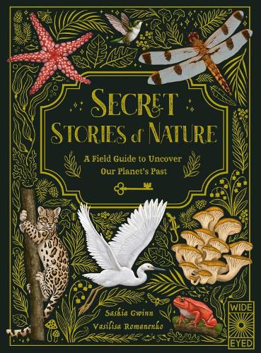 Cover image for Secret Stories of Nature: A Field Guide to Uncover Our Planet's Past