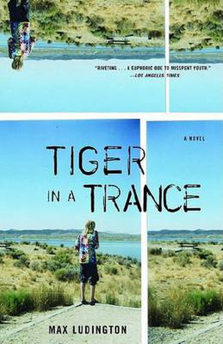 Cover image for Tiger in a Trance: A Novel