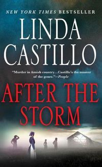 Cover image for After the Storm