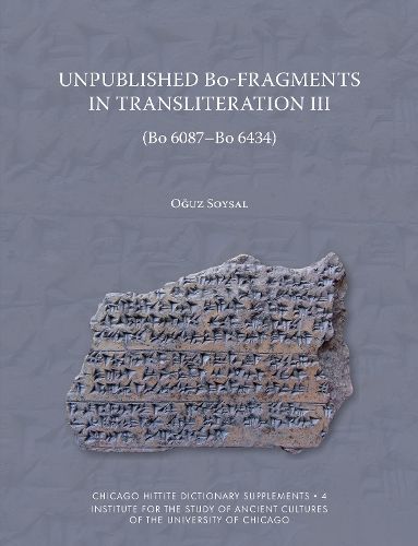 Cover image for Unpublished Bo-Fragments in Transliteration III