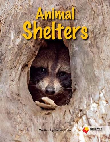 Cover image for Animal Shelters