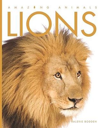 Cover image for Lions
