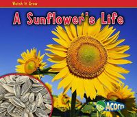 Cover image for A Sunflowers Life (Watch it Grow)