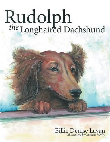 Cover image for Rudolph the Longhaired Dachshund