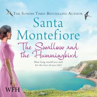 Cover image for The Swallow and the Hummingbird
