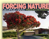 Cover image for Forcing Nature: Trees in Los Angeles