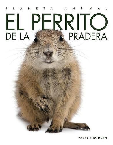 Cover image for El Perrito de la Pradera