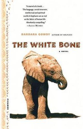 Cover image for The White Bone