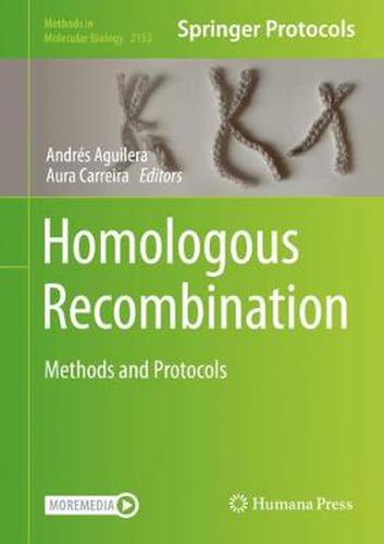 Cover image for Homologous Recombination: Methods and Protocols