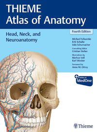 Cover image for Head, Neck, and Neuroanatomy (THIEME Atlas of Anatomy)