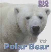 Cover image for Polar Bear