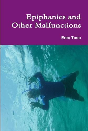 Cover image for Epiphanies and Other Malfunctions