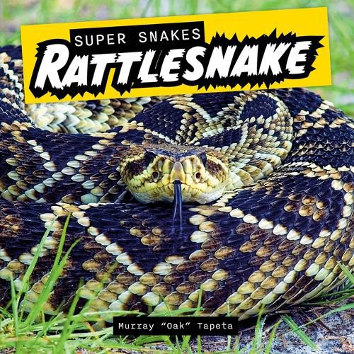 Cover image for Rattlesnake