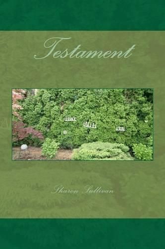 Cover image for Testament