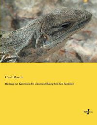 Cover image for Beitrag zur Kenntnis der Gaumenbildung bei den Reptilien