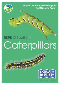 Cover image for RSPB ID Spotlight - Caterpillars
