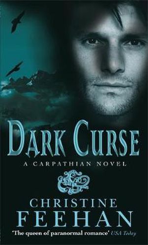 Cover image for Dark Curse: Number 19 in series