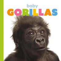 Cover image for Baby Gorillas