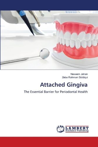 Attached Gingiva