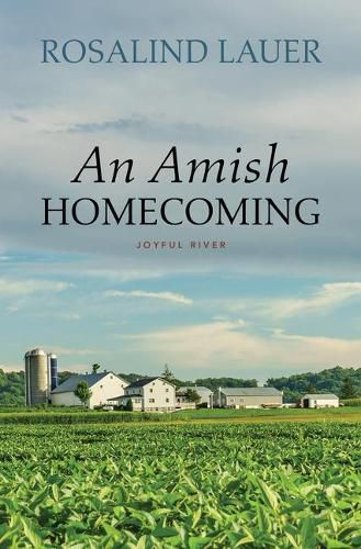 Cover image for An Amish Homecoming