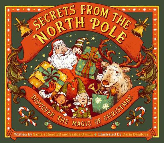 Cover image for Secrets from the North Pole