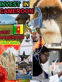 Cover image for INVEST IN CAMEROON - Visit Cameroon - Celso Salles