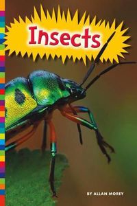 Cover image for Insects