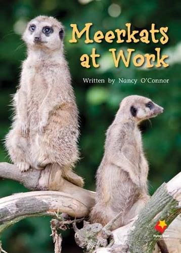 Cover image for Meerkats at Work