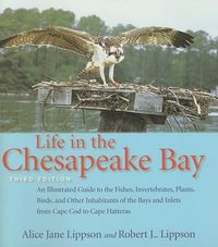 Cover image for Life in the Chesapeake Bay