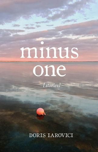 Cover image for Minus One