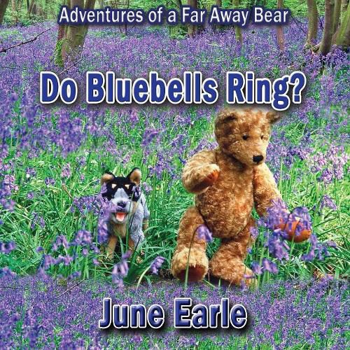 Cover image for Adventures of a Far Away Bear