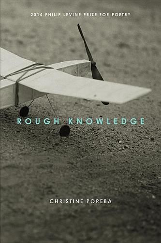 Cover image for Rough Knowledge